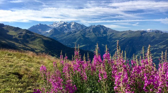 Beautiful Verbier, Switzerland to the AMAZINGLY GORGEOUS Swiss town of Evolene- Day 2 of MTB trip