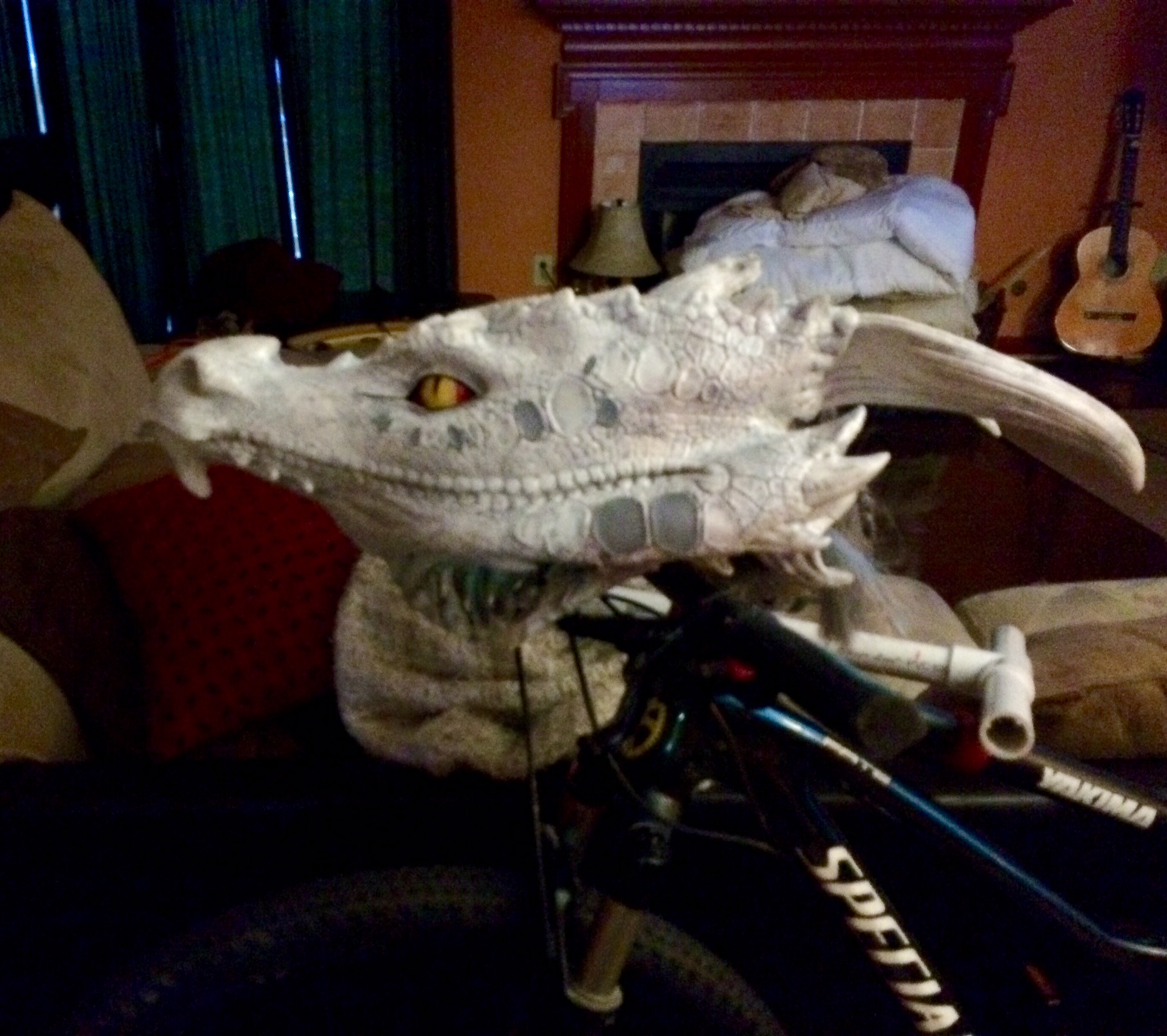 AWESOME BIKE COSTUME IDEAS!!!!! Sonia Dekker