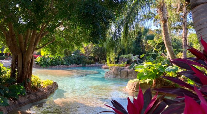 7 Tips for an AMAZING Day at Discovery Cove in Orlando!!!!